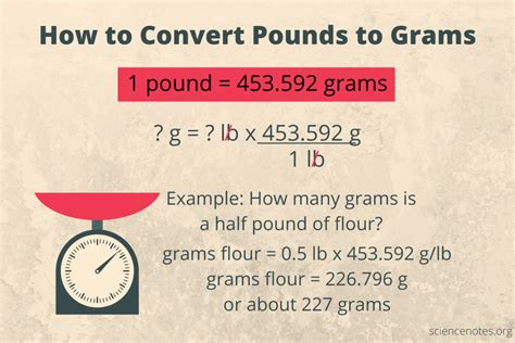 How many pounds in 900 grams. Things To Know About How many pounds in 900 grams. 